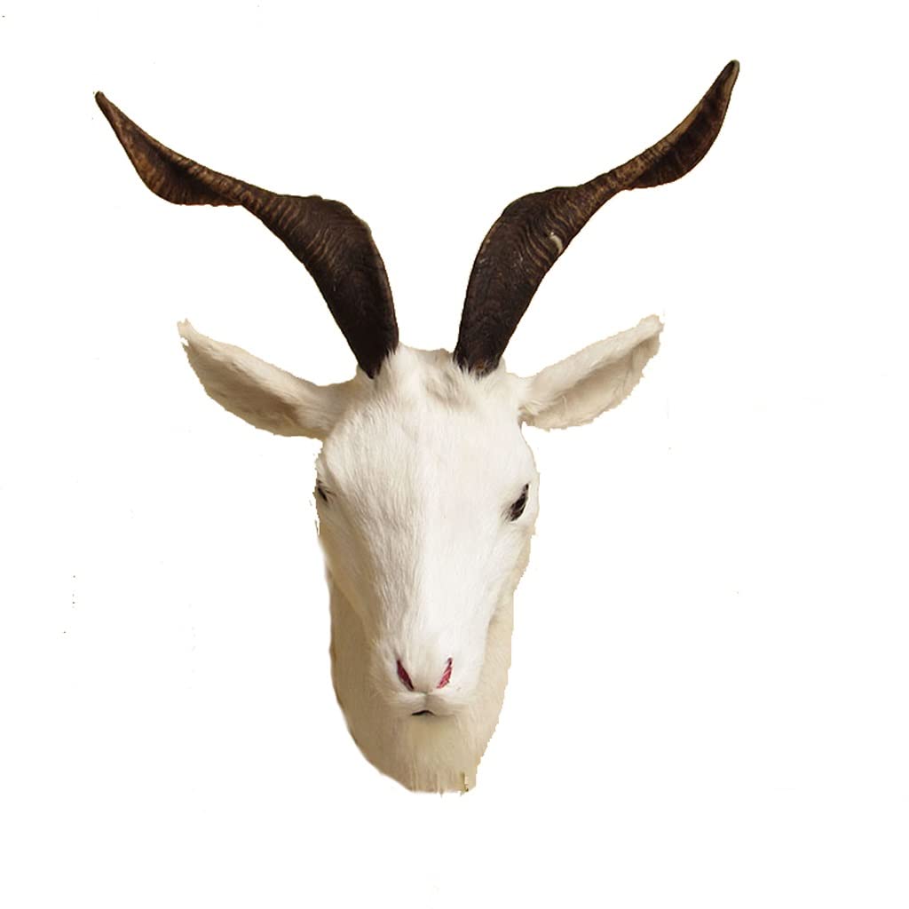 Amazon.co.jp: シミュレーションヤギの頭のシミュレーションの羊の頭の